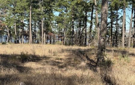 lot 12 Pr 6028