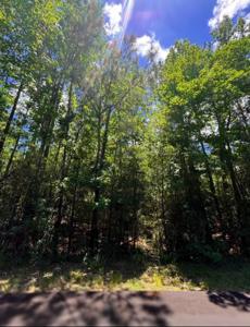 32763 Pinehurst