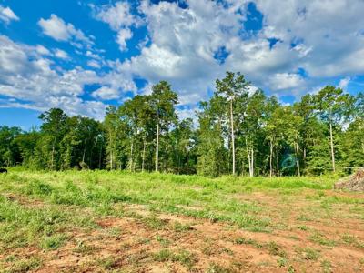487 Old Tejas Trail West