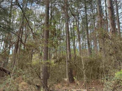 331 Bowline Drive