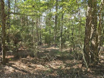 398 Twigwood Drive
