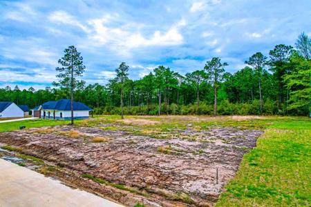 126 Tatanka Trail
