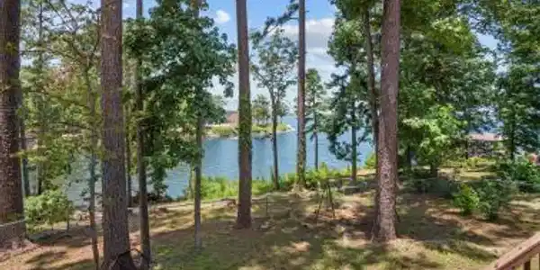 221 Mimosa Way