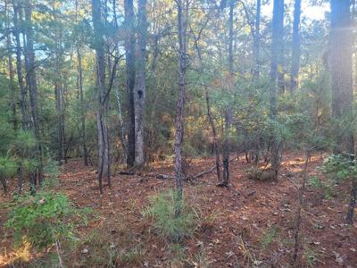 PID# 35705 Crooked Branch Rd
