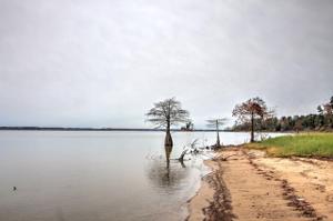 000 Lakeview Drive