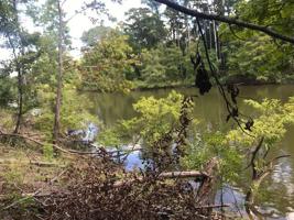 TBD Cypress Knoll