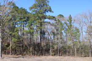 0 Pinestraw
