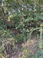 4160 Red Cedar Lane
