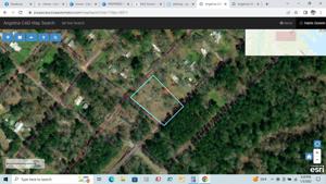 491 Earl Shofner Road