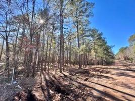 1 TBD county road 5595