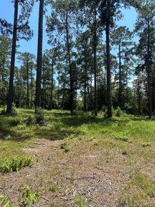 6028 lot 2 Pr 6028