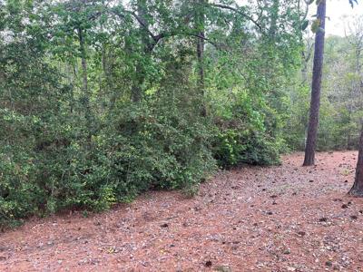 Lot 58 Wildbriar Drive