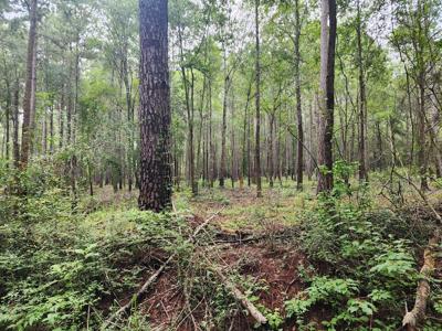 4661 Gilliland Creek Road