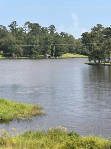 204 Pine Forest Drive