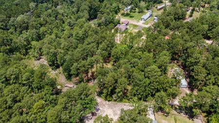 81 Bluebird Lane