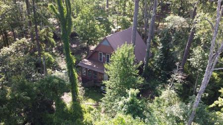 738 PIne Cone Lane