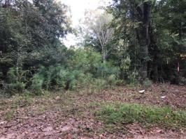 0 Red Maple Lane