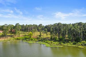 lot 20 PR 8536