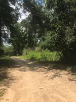 Lot 8 Atoyac Avenue