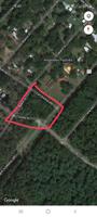 456 Earl Shofner Road