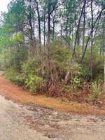 000 Sweetbriar Dr