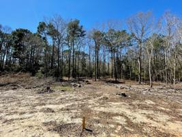 225 Cochran Rd