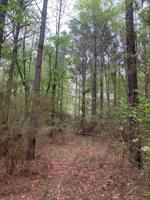 849 Whooping Crane Rd