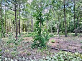 TBD Ashwood Circle