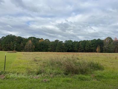 Parcel 10396 CR 476