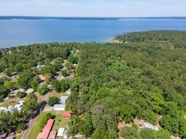 (R81438) Blackforest Drive