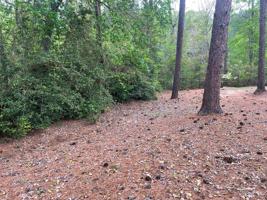 Lot 59 Wildbriar Drive