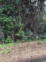 LOT 7 White Oak Drive