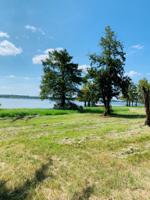 219 Hazelwood