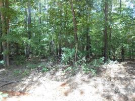 (R56517) Neches River Road