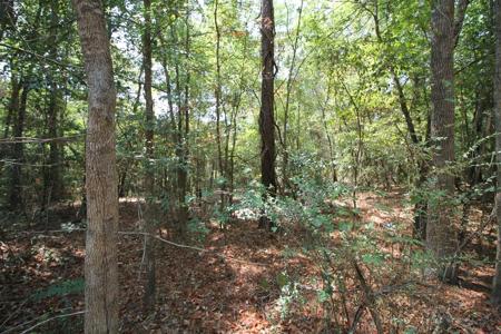 Lot 37 & 38 Brazos Boulevard