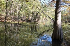 lots 1&2 Cypress Knoll