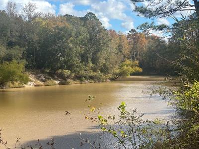 14937 Sam Rayburn Parkway