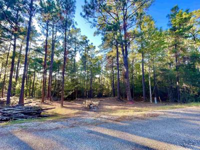 156 Pinehollow Cove