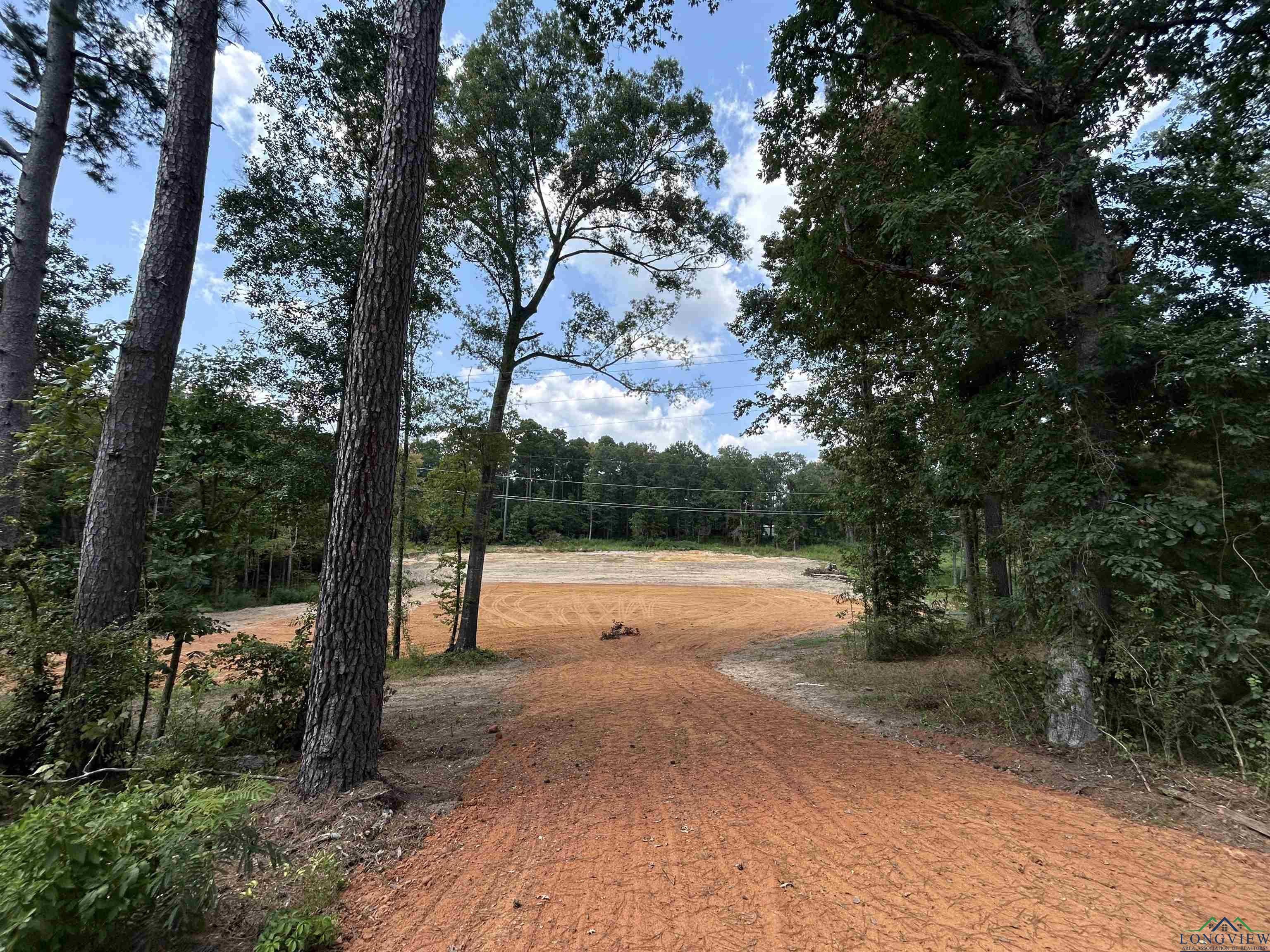 Image 1: View of road with a wooded view, Community
