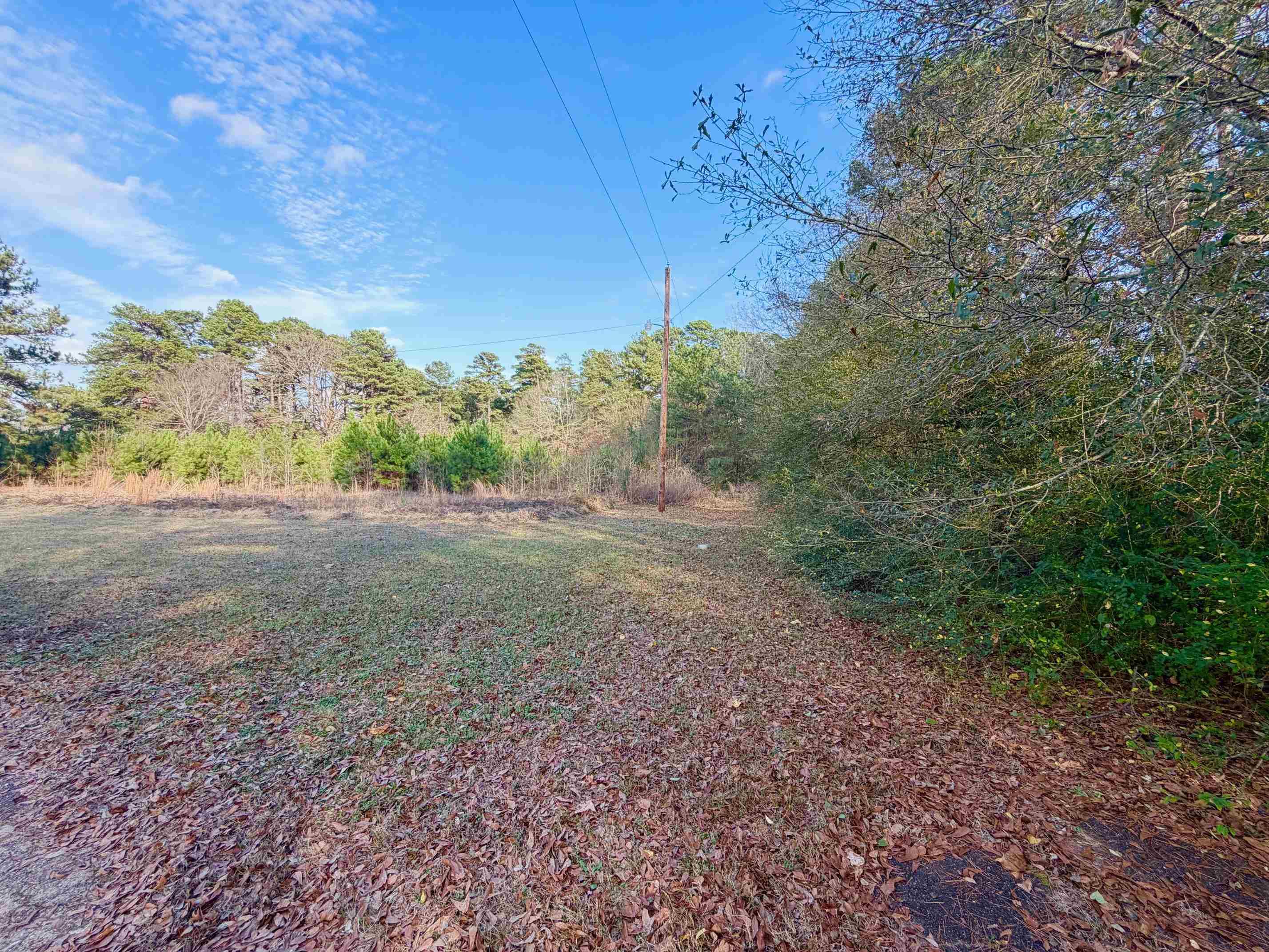 Image 1: View of yard with a wooded view, Yard