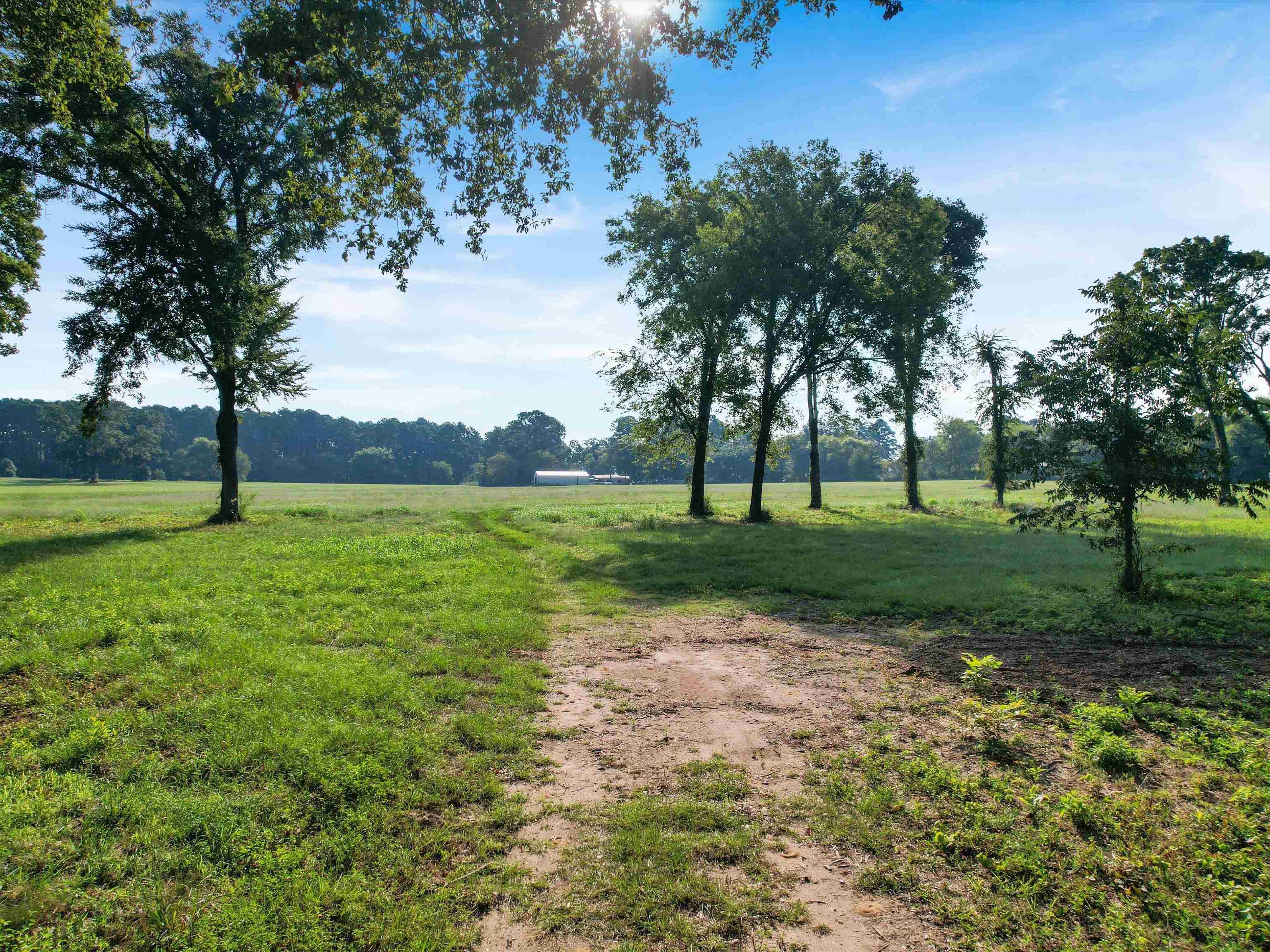 Image 2: View of green lawn with a rural view, Yard
