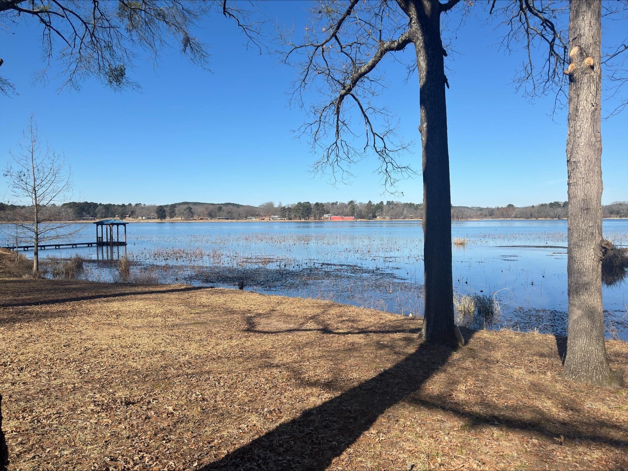 Image 0: Dock area featuring a water view, Dock