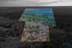 TBD Jewell Gooch Rd