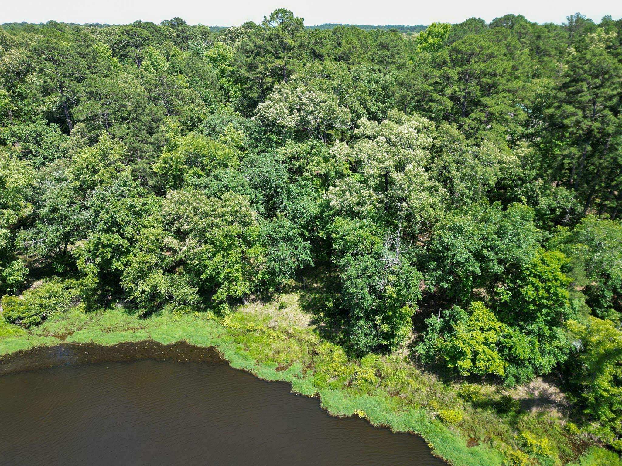 Image 0: Aerial overview of property's location featuring a forest and a nearby body of water, Aerial View