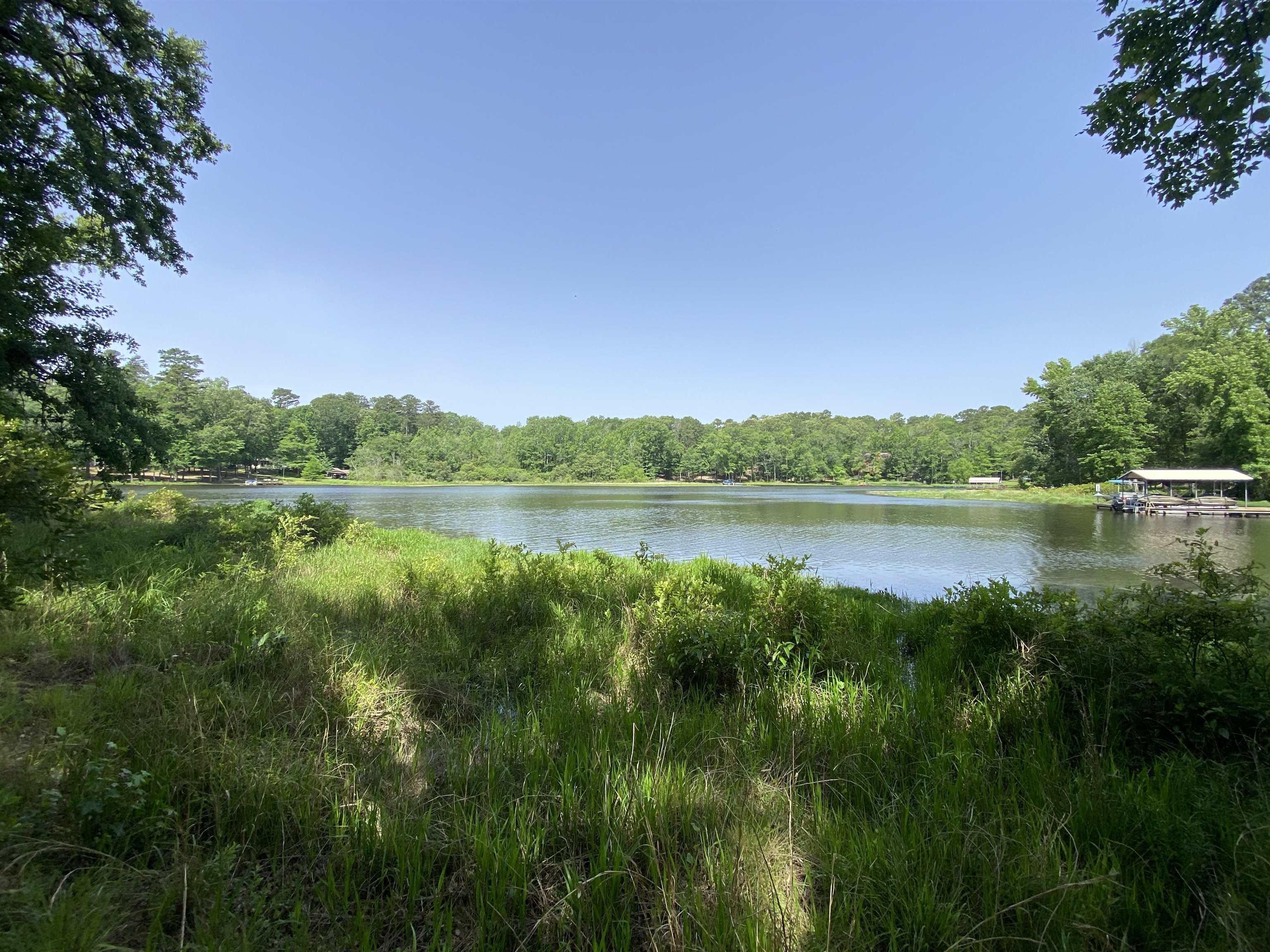 Image 1: Water view with a forest, View