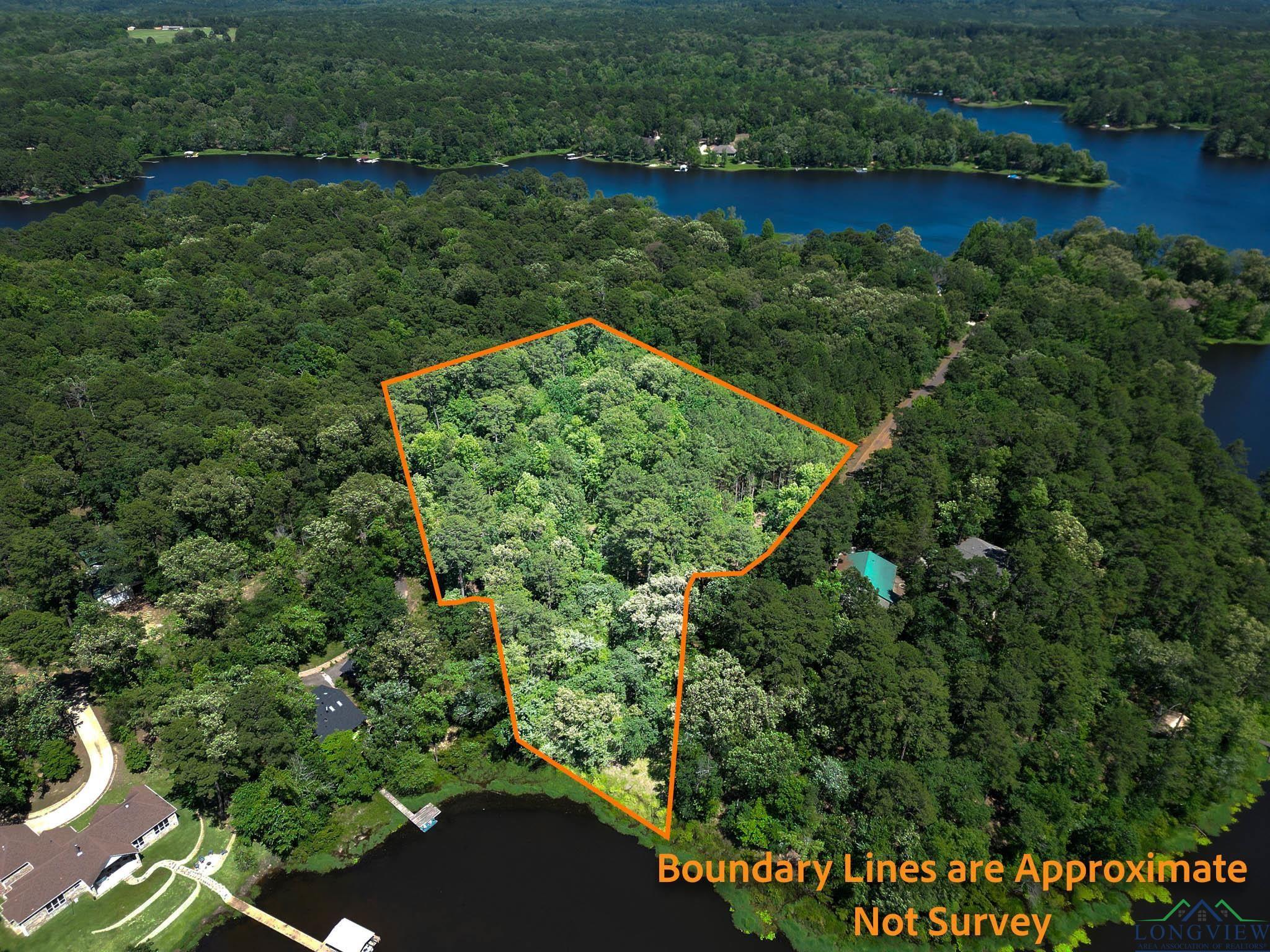 Image 2: Aerial view of property and surrounding area featuring a heavily wooded area, a large body of water, and property parcel outlined, Aerial View