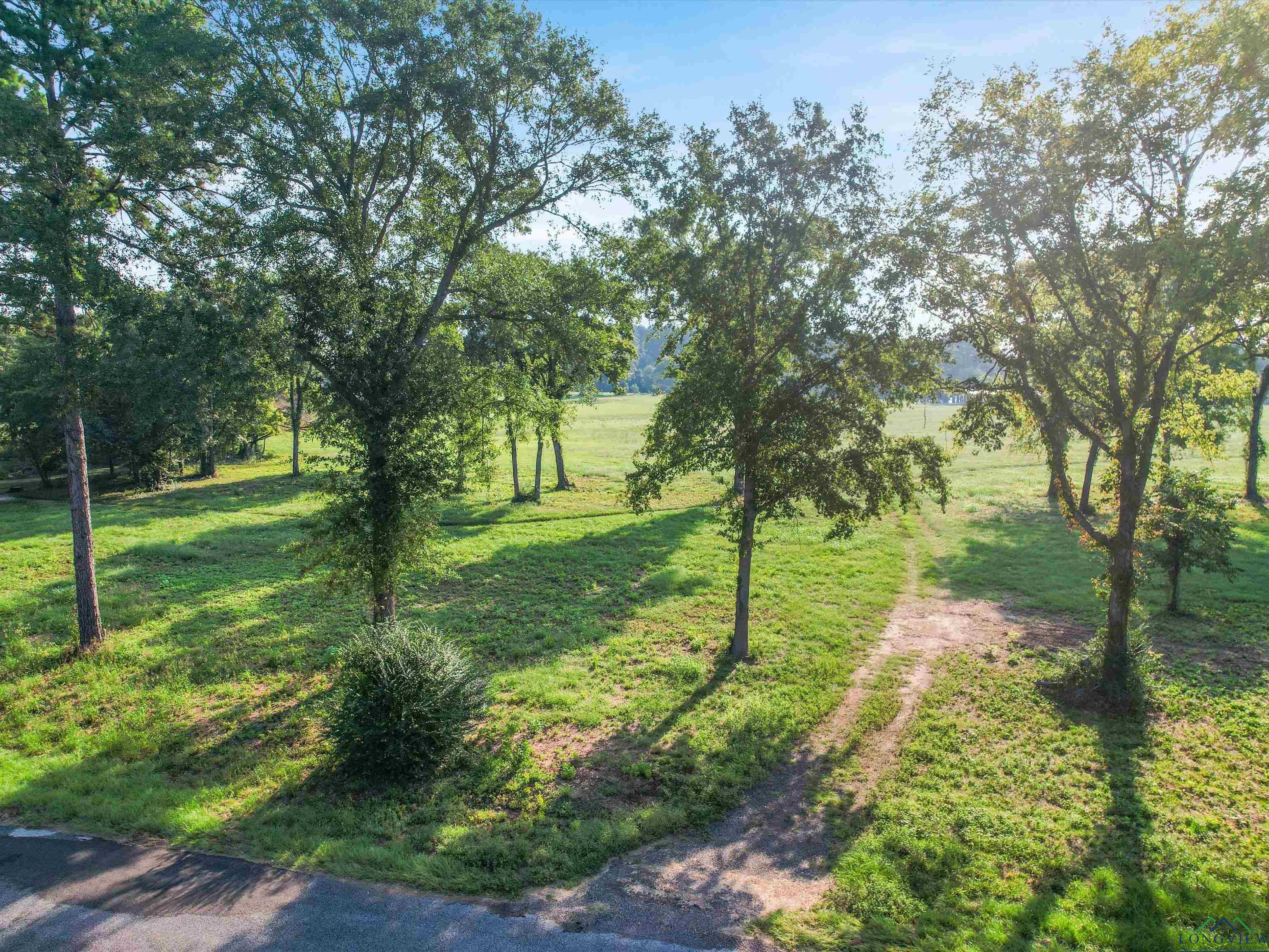 Image 1: View of green lawn, Yard