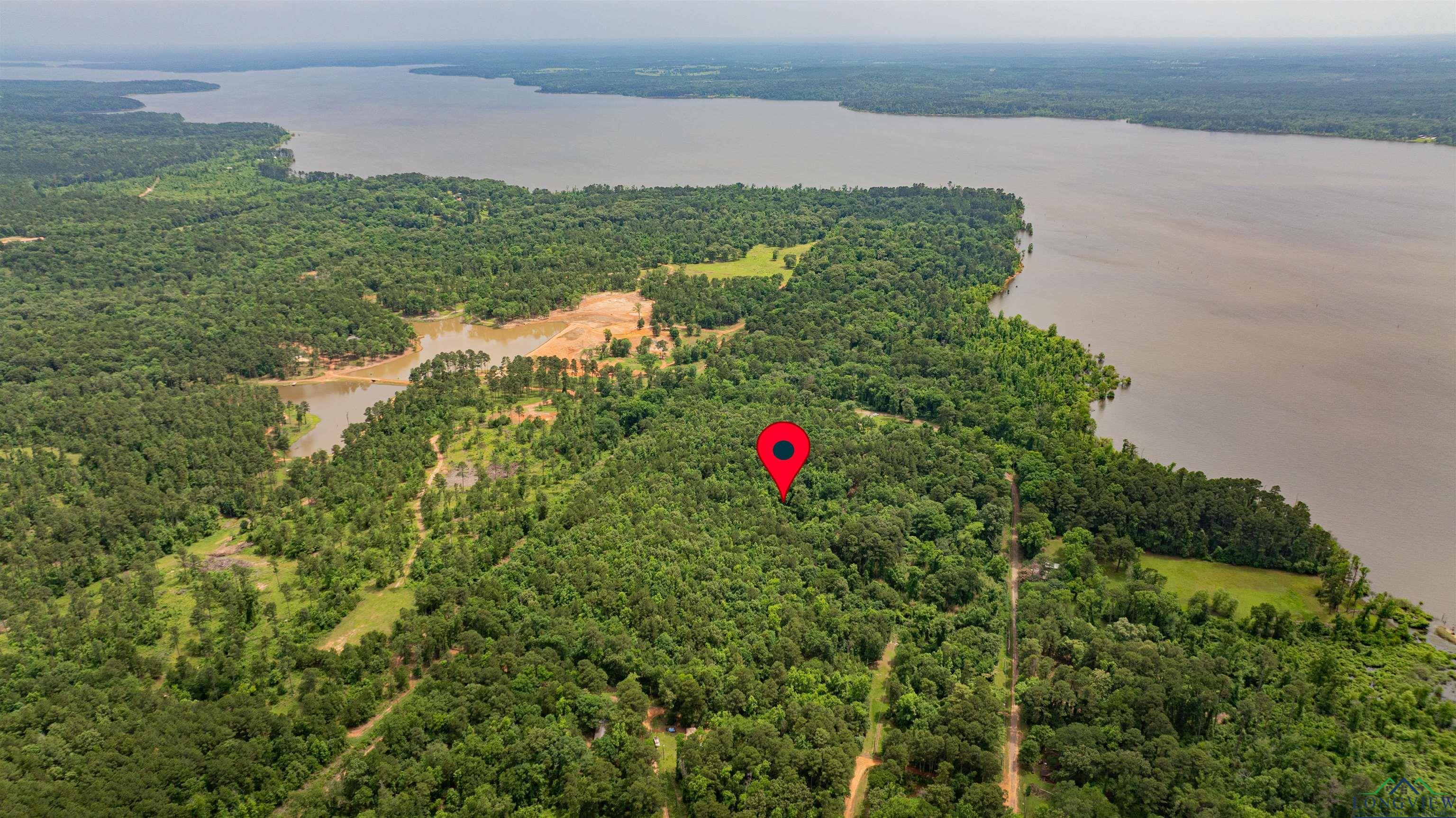 Image 0: Aerial view of a forest and a large body of water, Aerial View