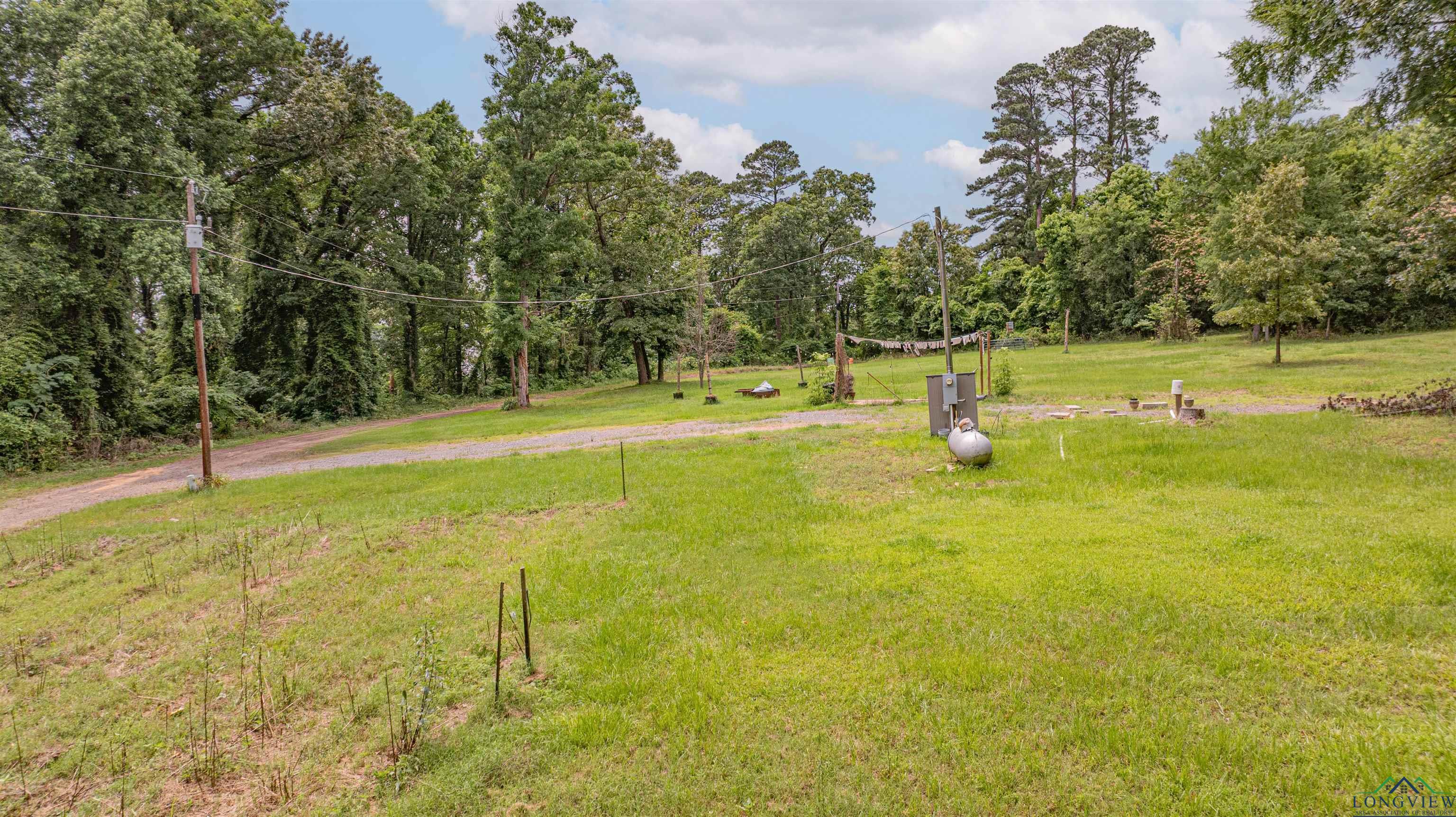 Image 3: View of grassy yard with a forest view, Yard