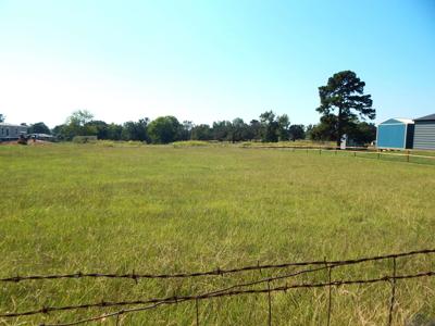 TBD SILK TREE RD (0.531 AC)